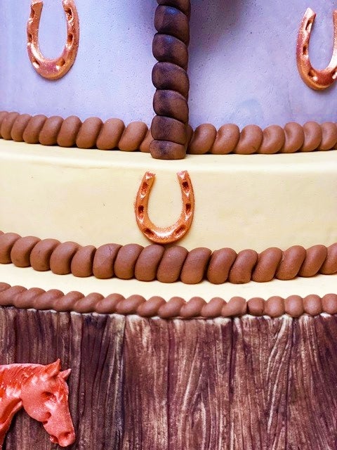 Paarden carrousel taart6